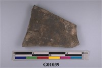 藏品(鷹爪化石)的圖片